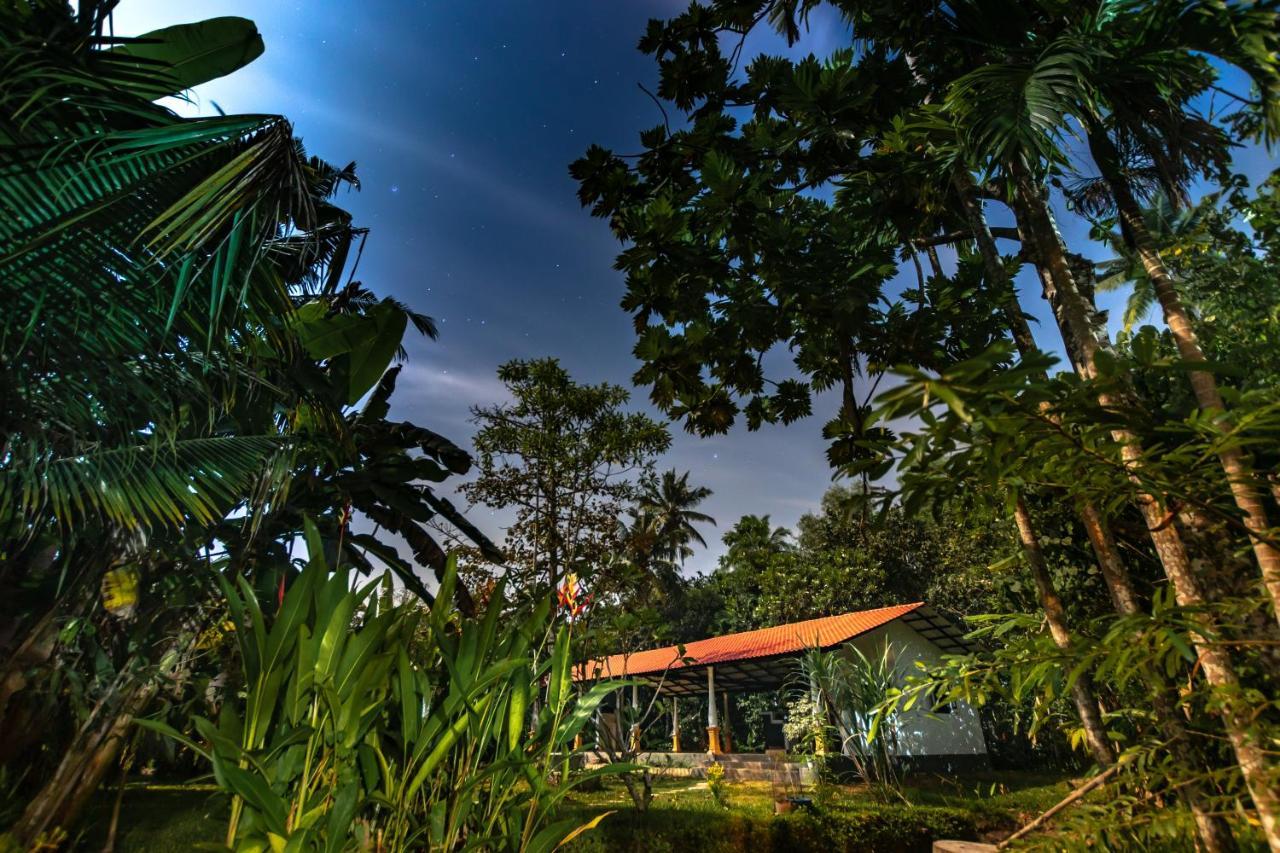 Coconut Villa Midigama Exterior photo