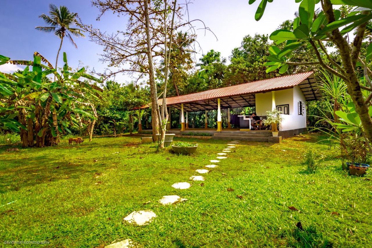 Coconut Villa Midigama Exterior photo